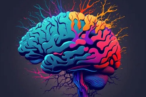 Colorful Epilepsy in Nagpur