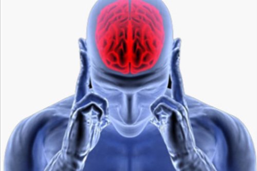 Stroke/ Paralysis brain part show red color